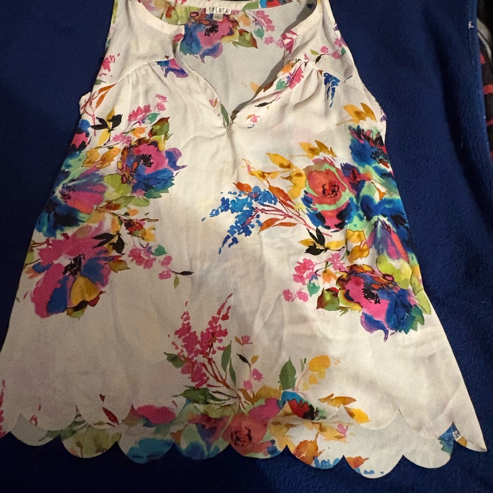 Spense Multicolor Floral Top
